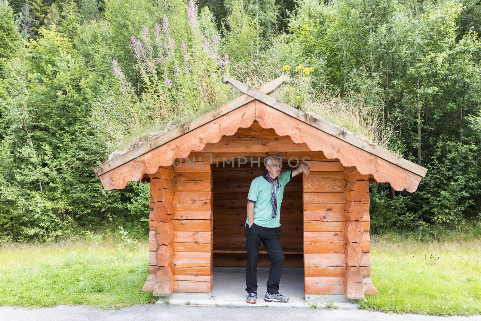 adult man wating for the bus on busstop on the side of the road on the country side in norway. traditional wooden bus stop with grass covered roof,