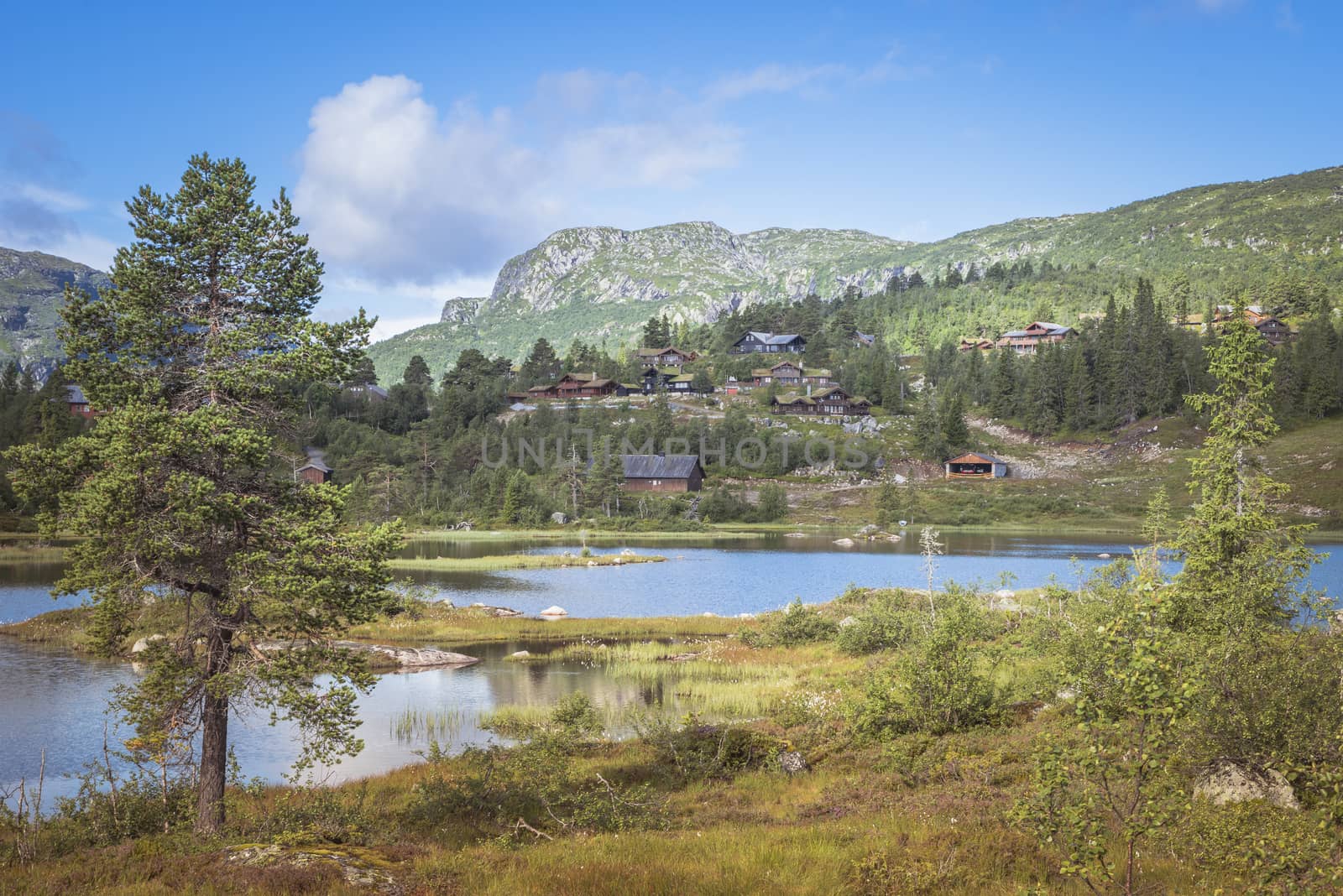 nature in norway with water in small lakes and fjord and houses of Valle in the background on the mountains