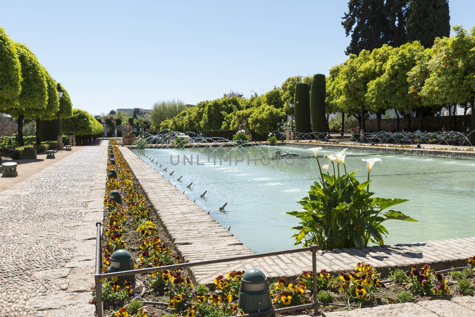 moorish gardens with fountains in alcazar cordoba