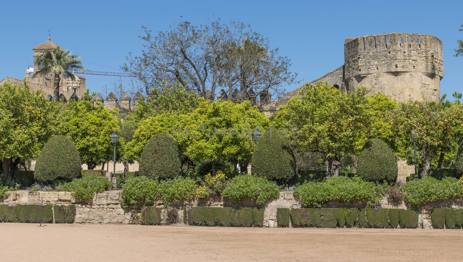 garden and old architecture in cordoba near the alcazart and mezdina