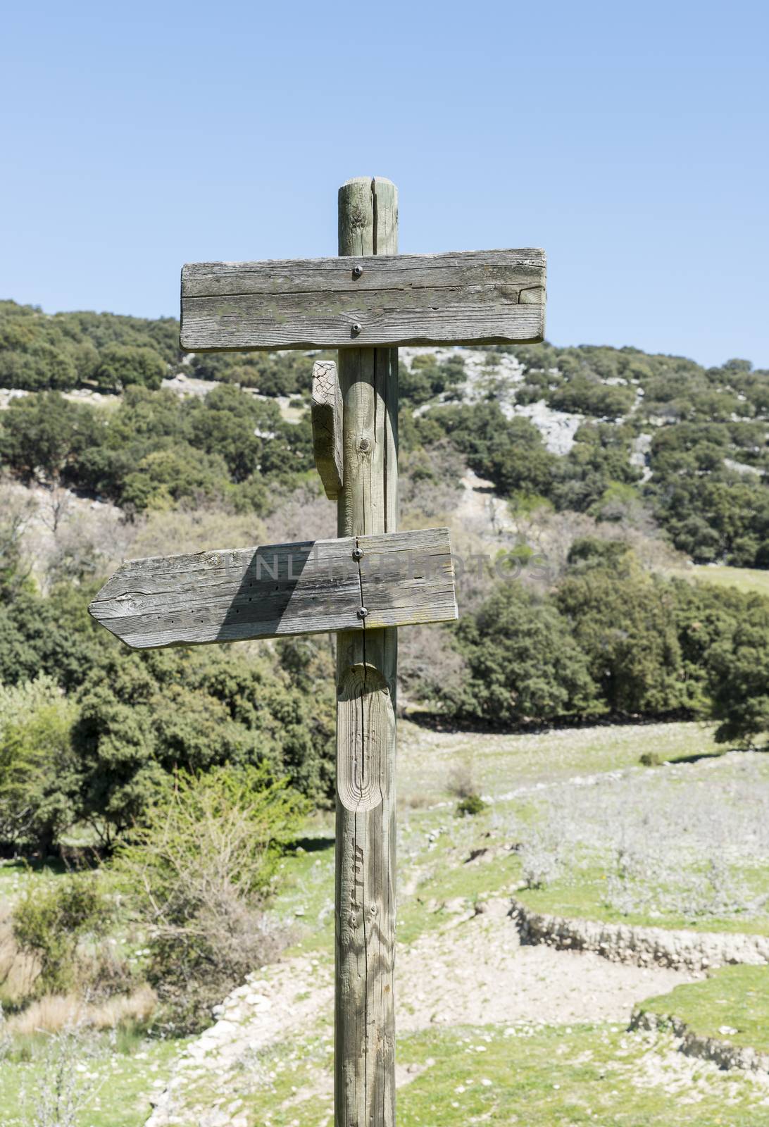 wooden pole with destination to east and west