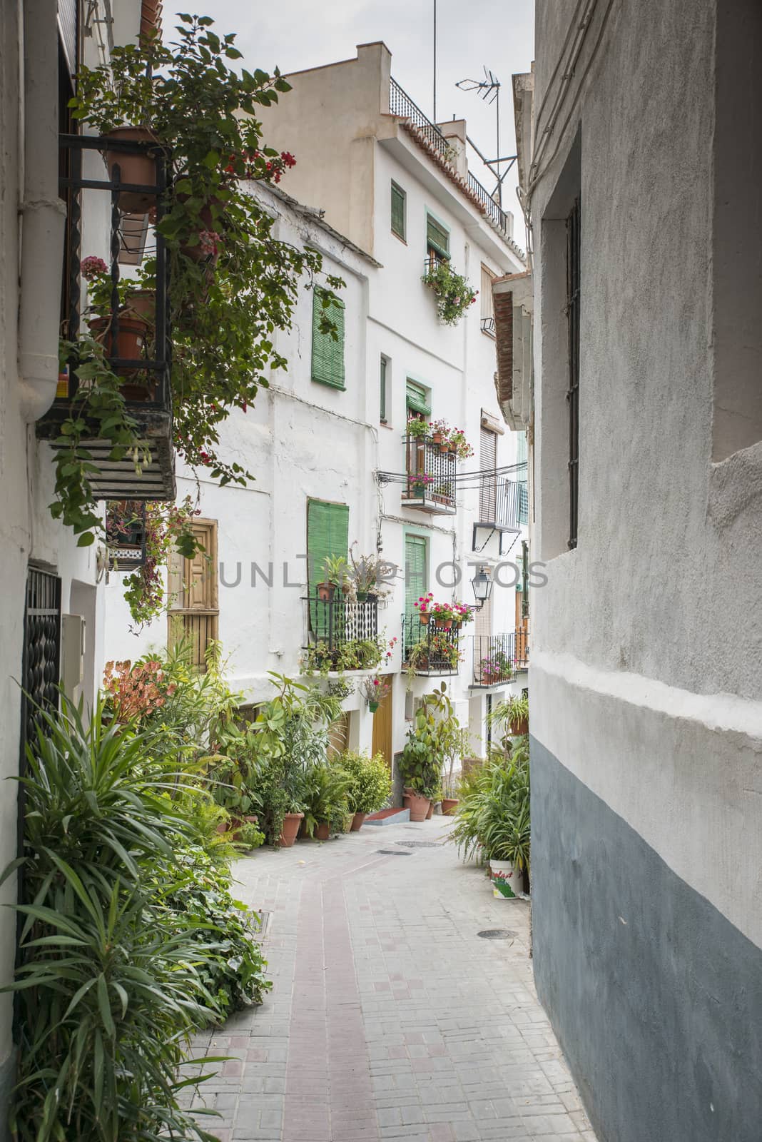 typical street in andalusia spain with white houses and basket with flowers in the street