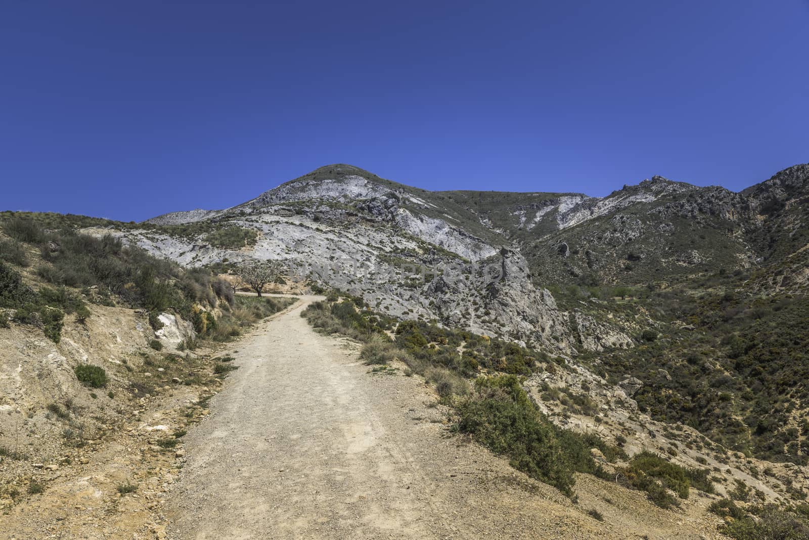 the mountains of andalusia in spain near Zuheros Village