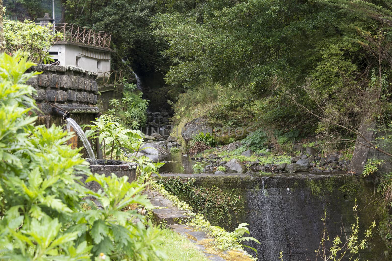 Ribeiro Frio madeira nature with small waterfalls and green forest