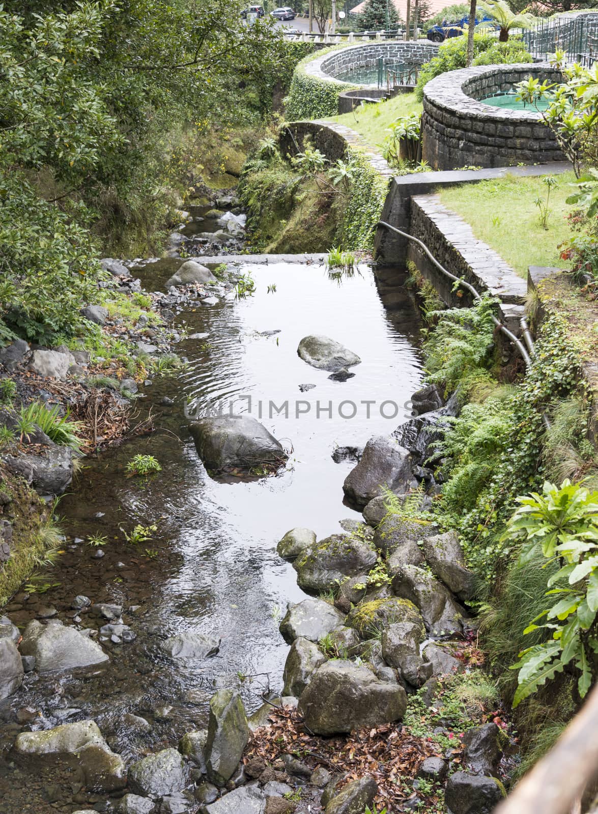 Ribeiro Frio nature with trouts farm