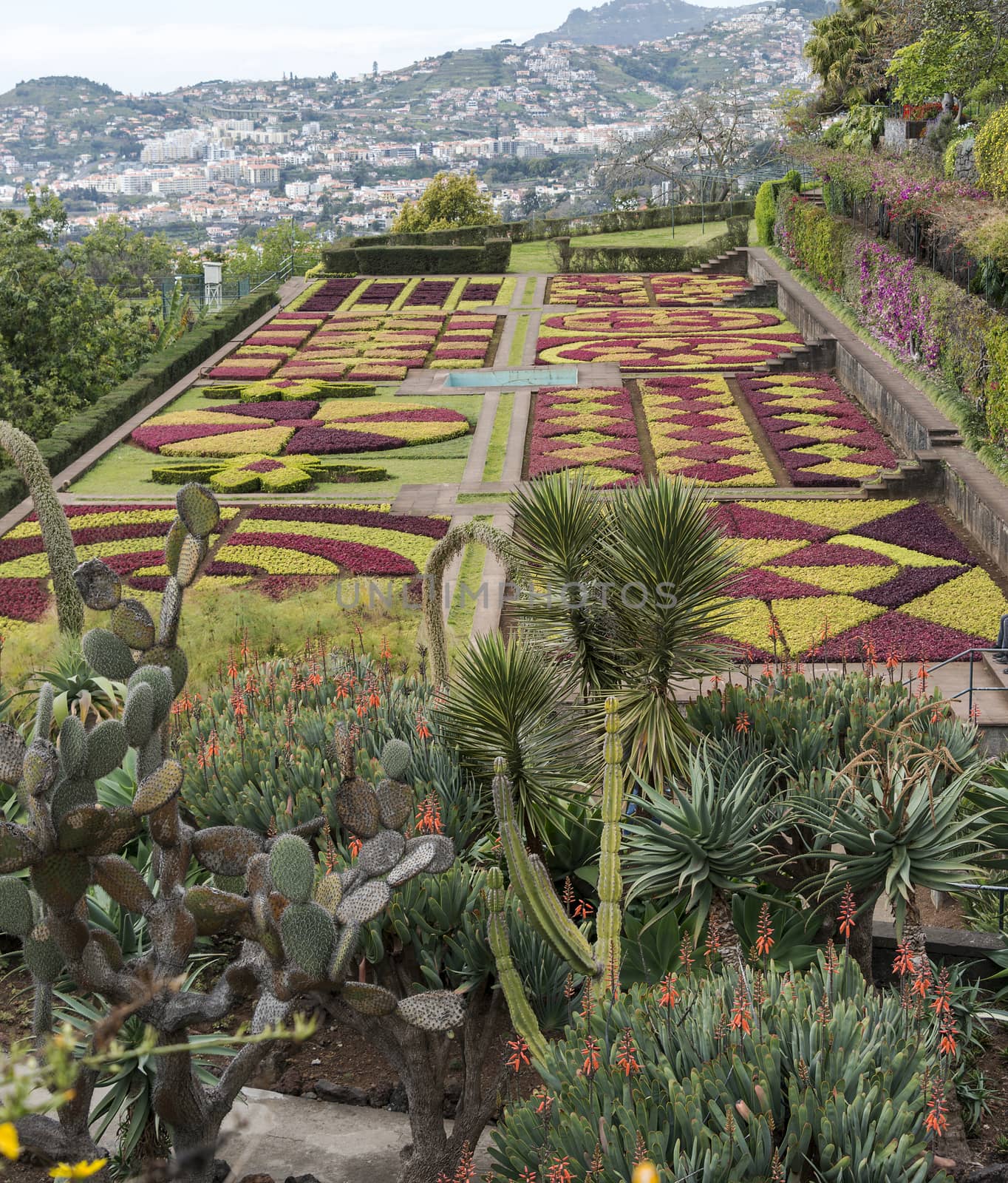 botanical garden in Funchal on the portuguese island of Madeira