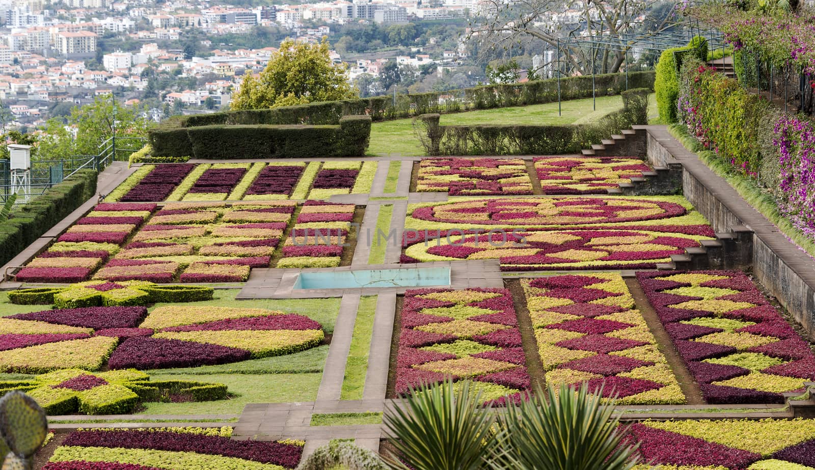 botanical garden in Funchal on the portuguese island of Madeira