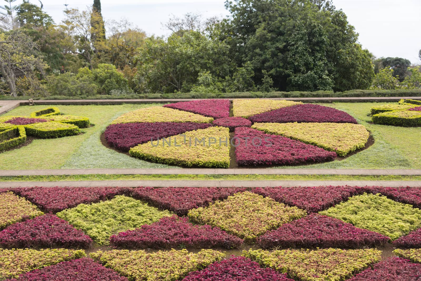 flower mosaic in Funchal madeira portugal