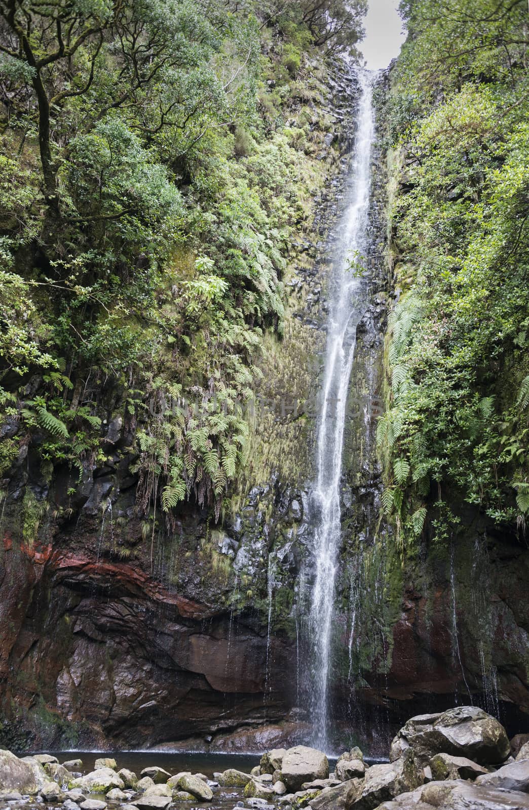 waterfall on the levada track 25 fontes on madeira island
