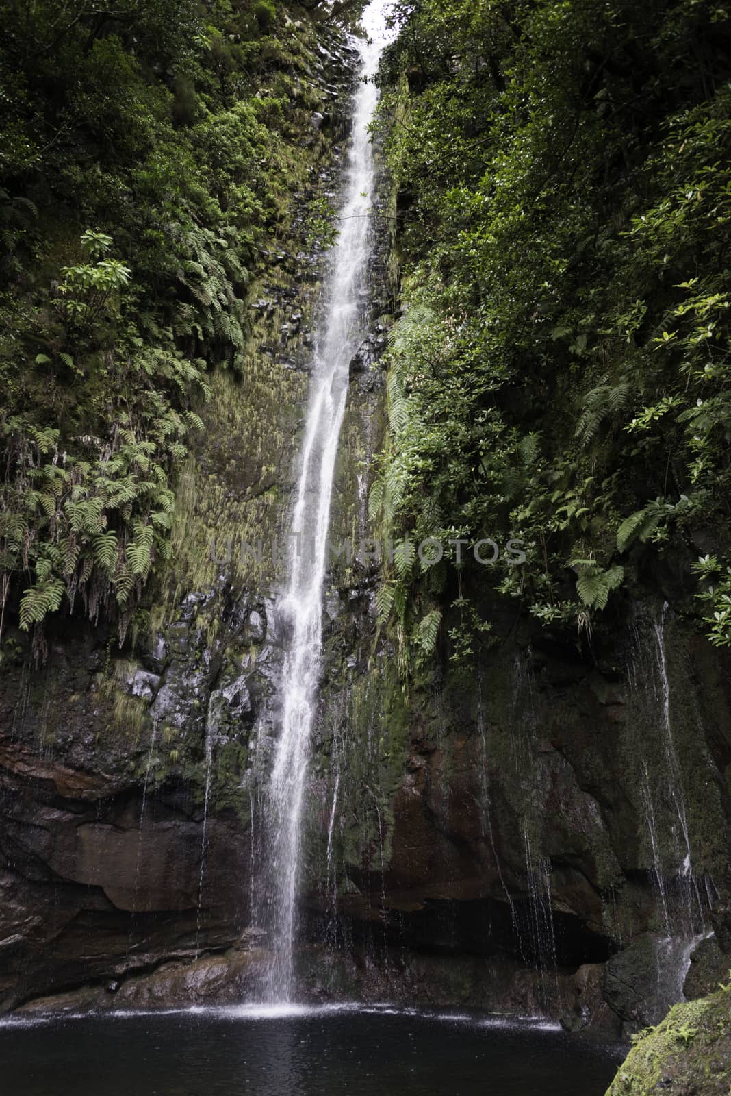 waterfall on madeira island on levada das 25 fontes tracking in wild nature