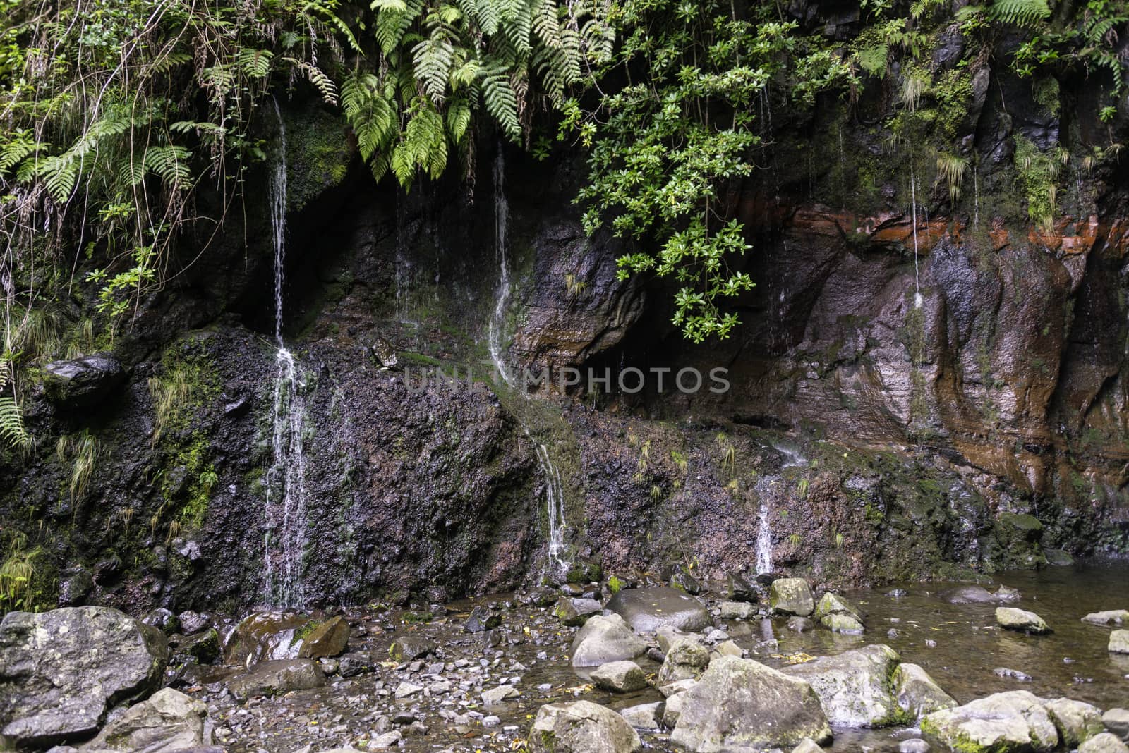 waterfall on madeira island on levada das 25 fontes tracking in wild nature
