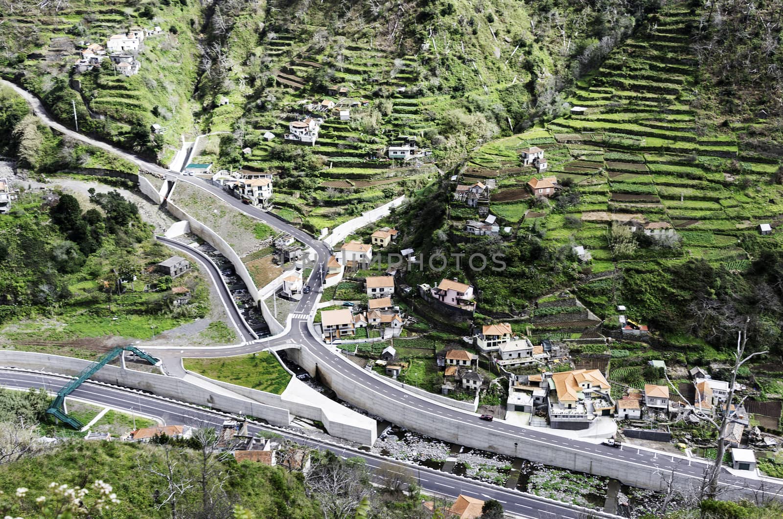 madeira teraaced green mountain with road and levada for water transport on the tropical island