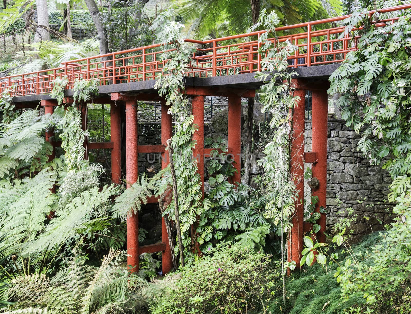 botanical public green  gardens in Funchal Madeira with the japanese part with red bridges and ornaments