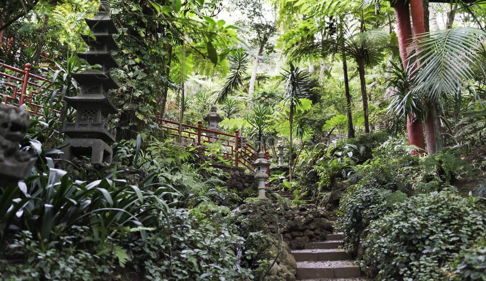 botanical public gardens in Funchal Madeira with the japanese part with rocks and stairs
