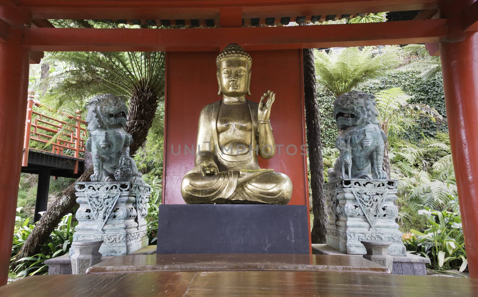 golden buddha in japanese garden in funchal madeira