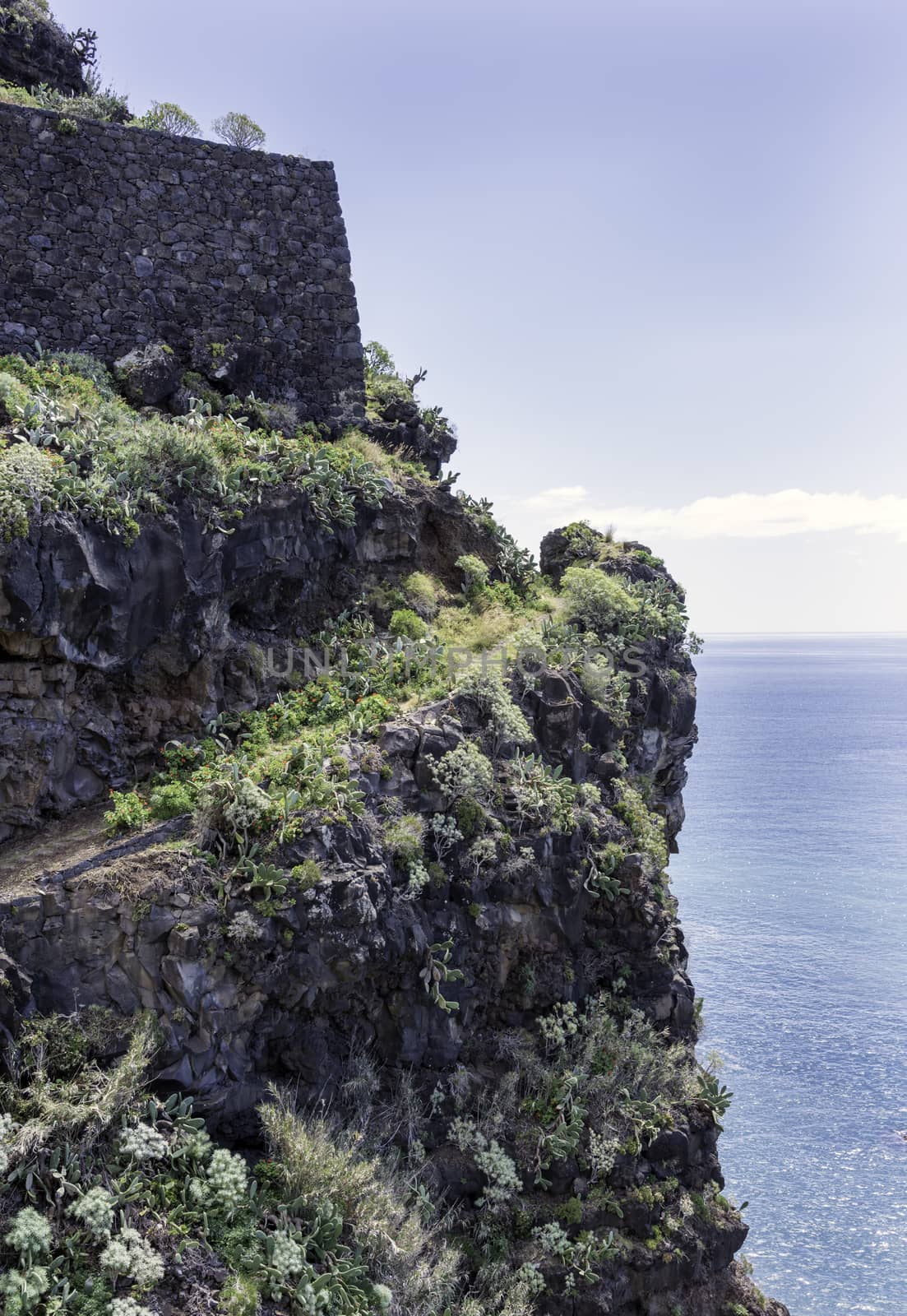 rocks with flowers and cactus on madeira island