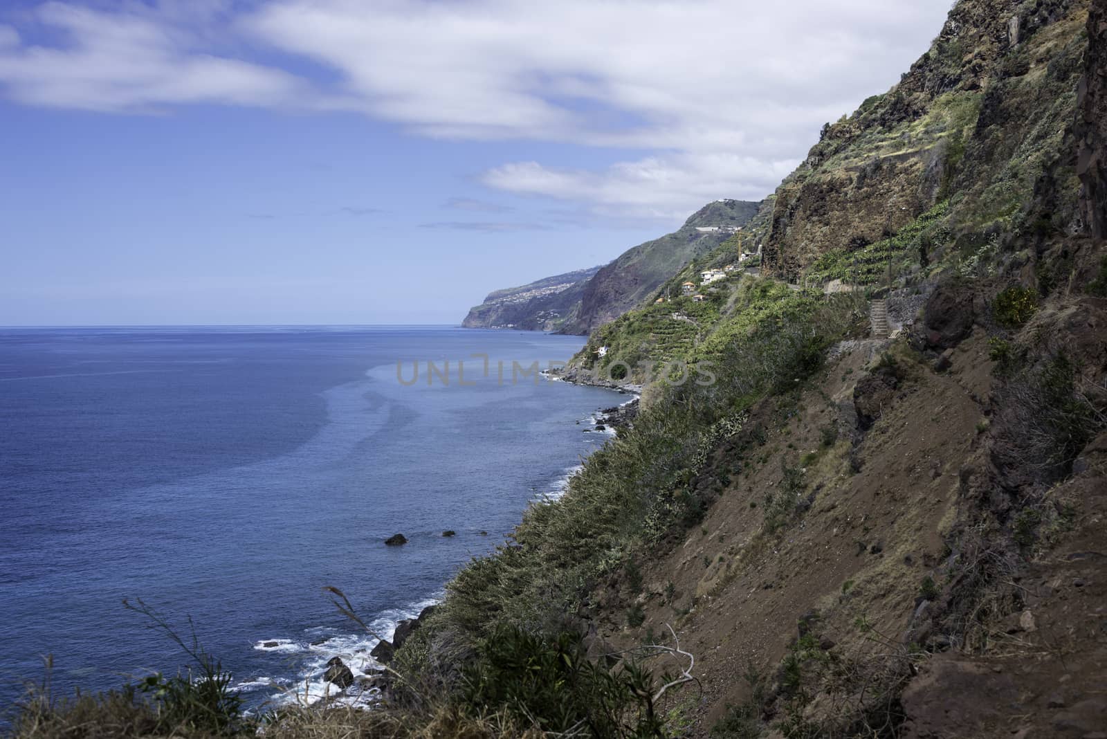 the volcanic rocks of the east caost of madeira island with blue sky and green vegetation near calheta village