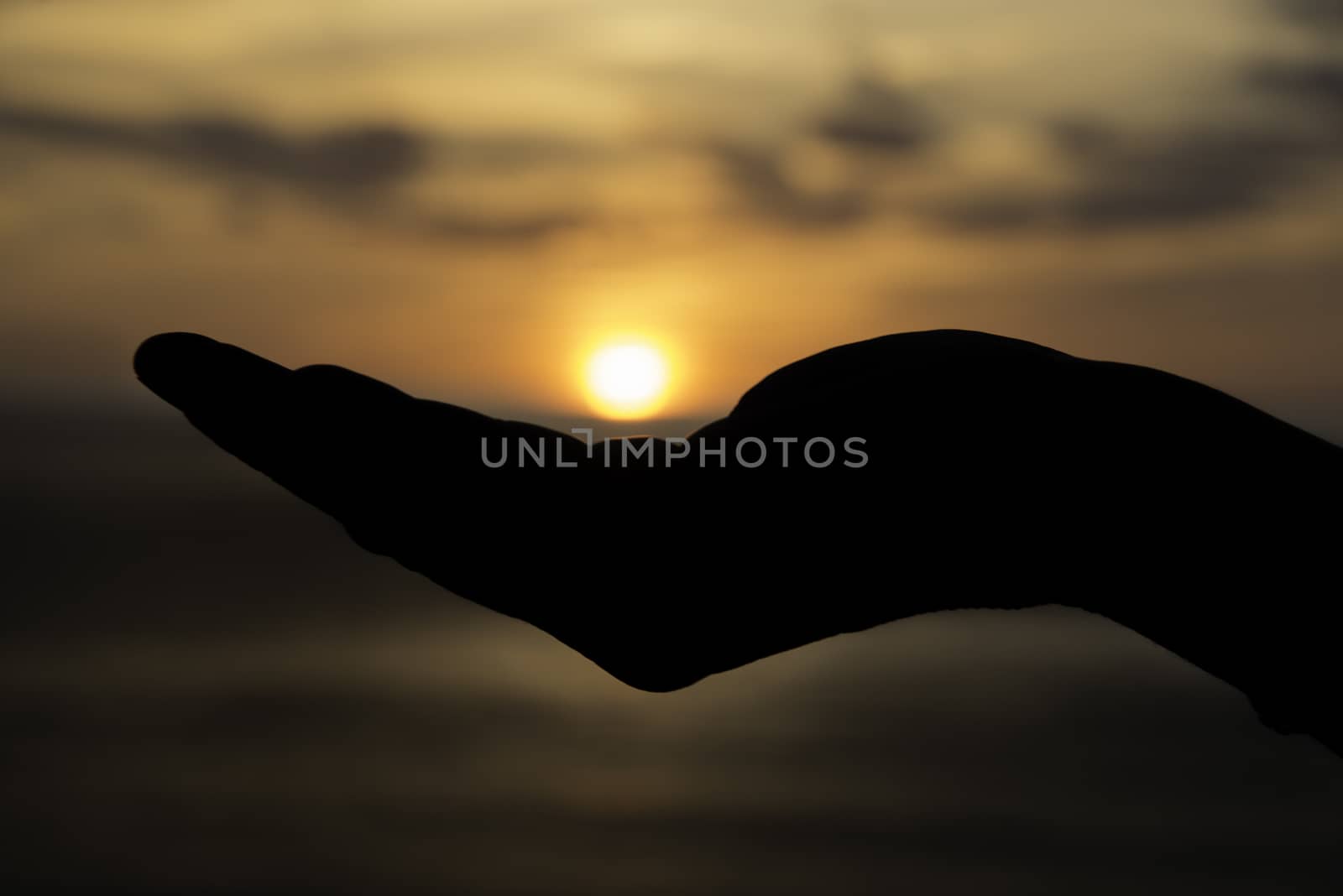 female hand with the sun during sunset on her hand