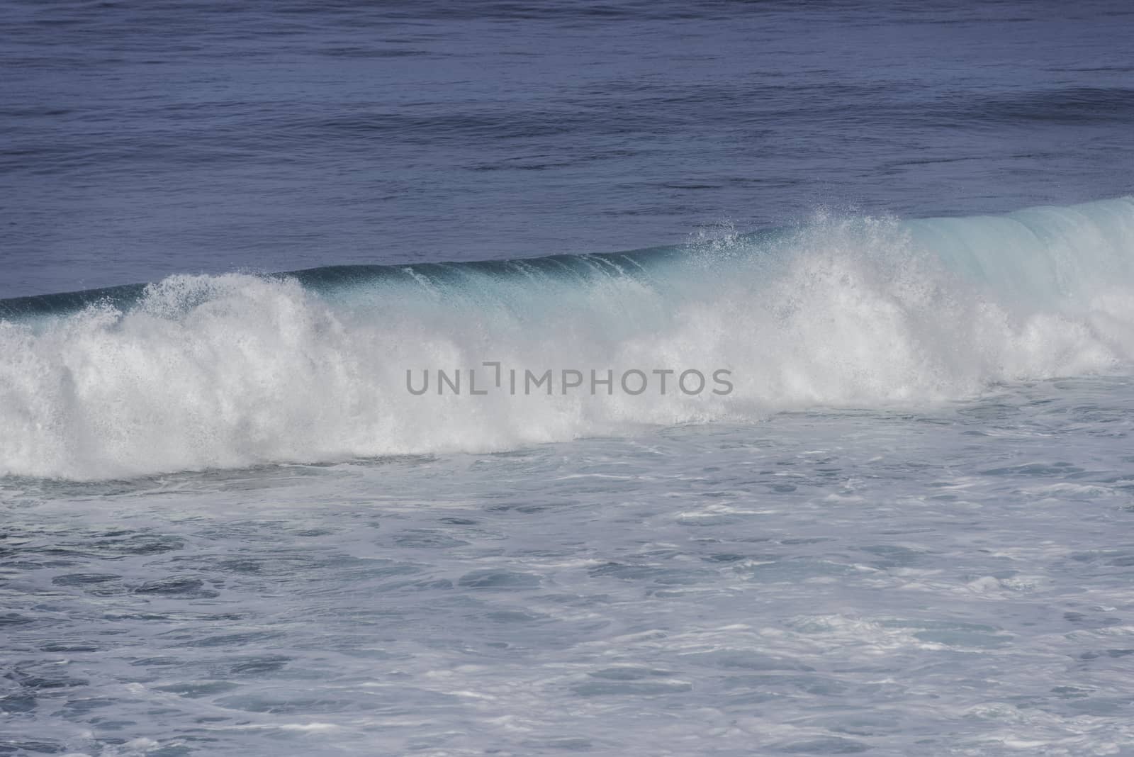 background of rolling wave in atlantic ocean on the madeira coast