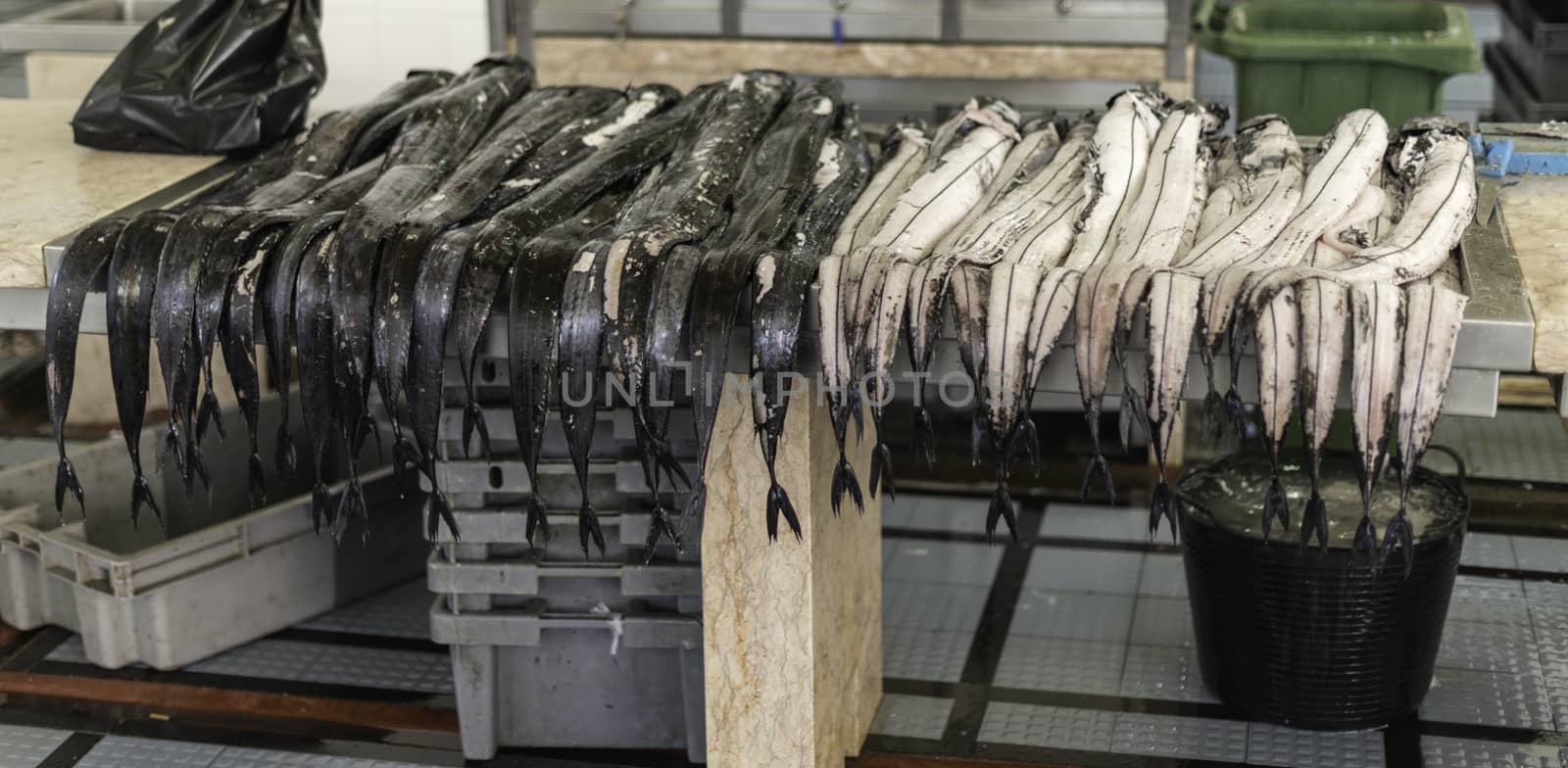 swordfish on the market in Funchal on Madeira island