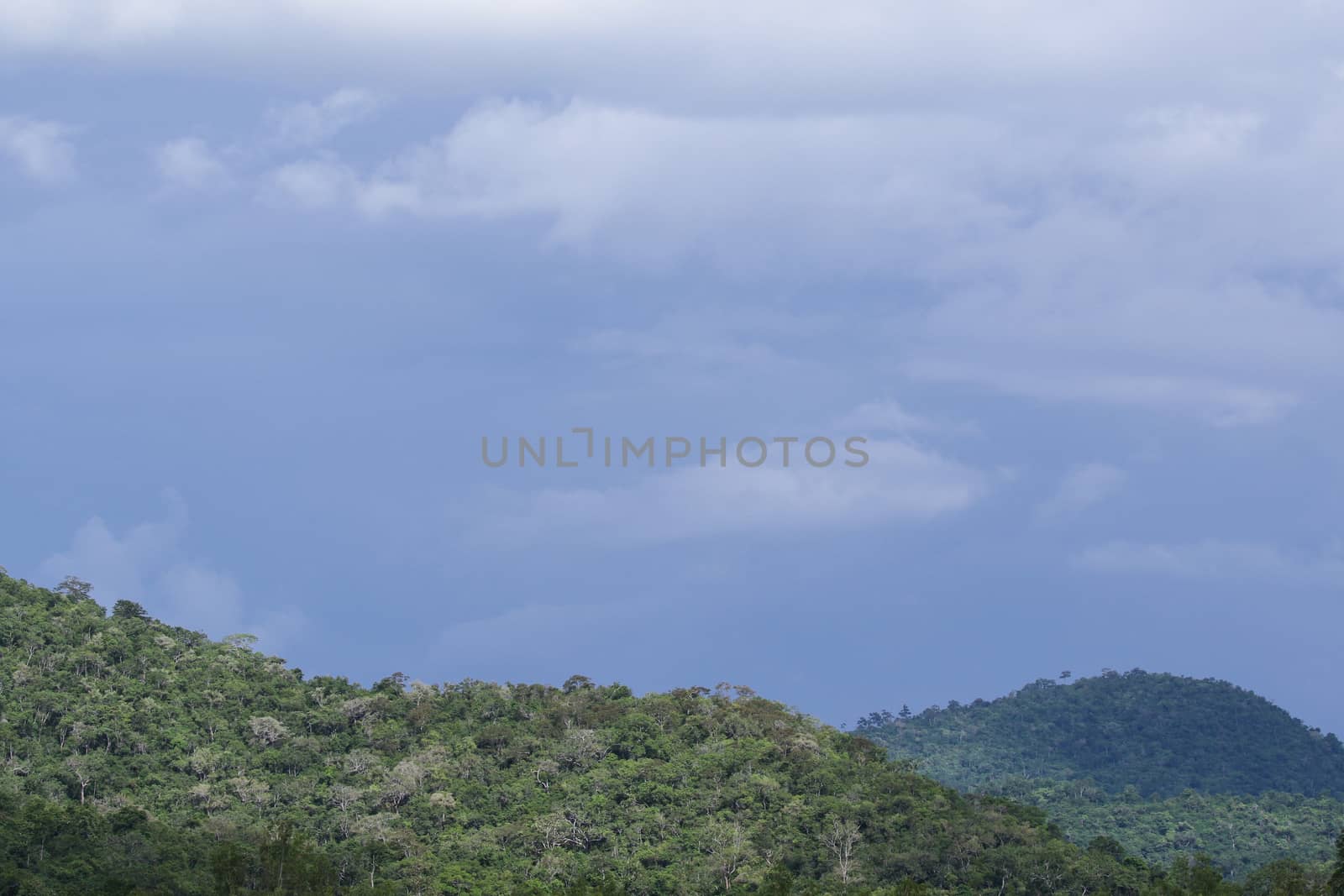top view of forest in thailand and blue sky.