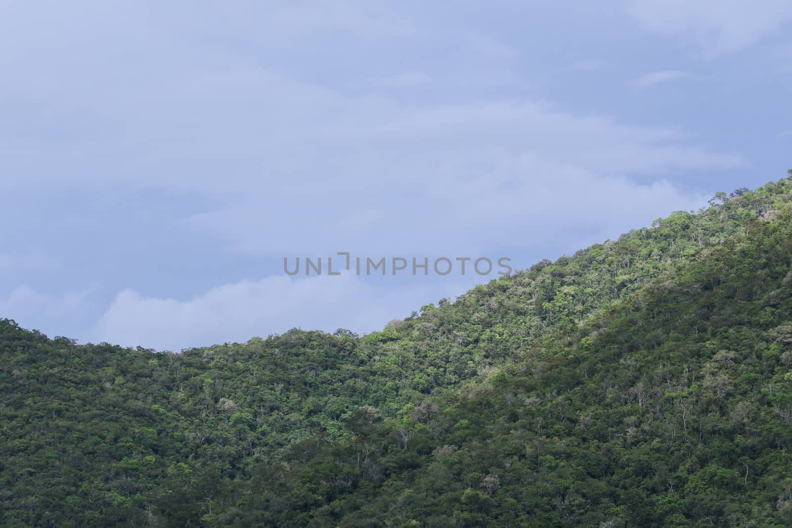 top view of forest in thailand and blue sky.
