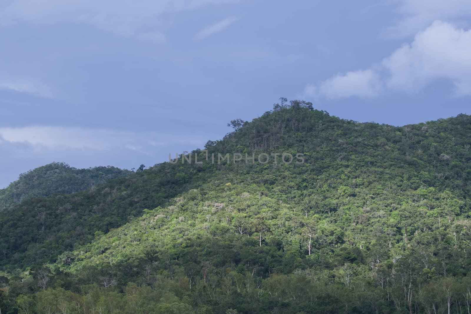 top view of forest in thailand and blue sky.