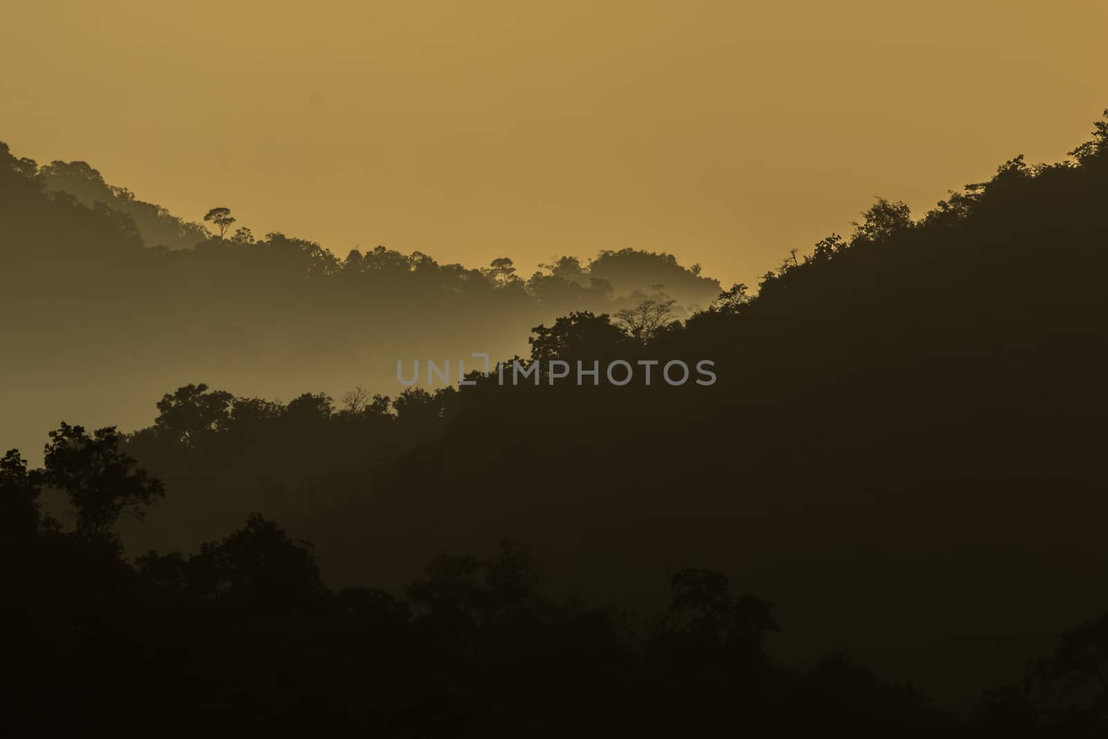 view of forest in thailand and  sky is many colour at sunset .