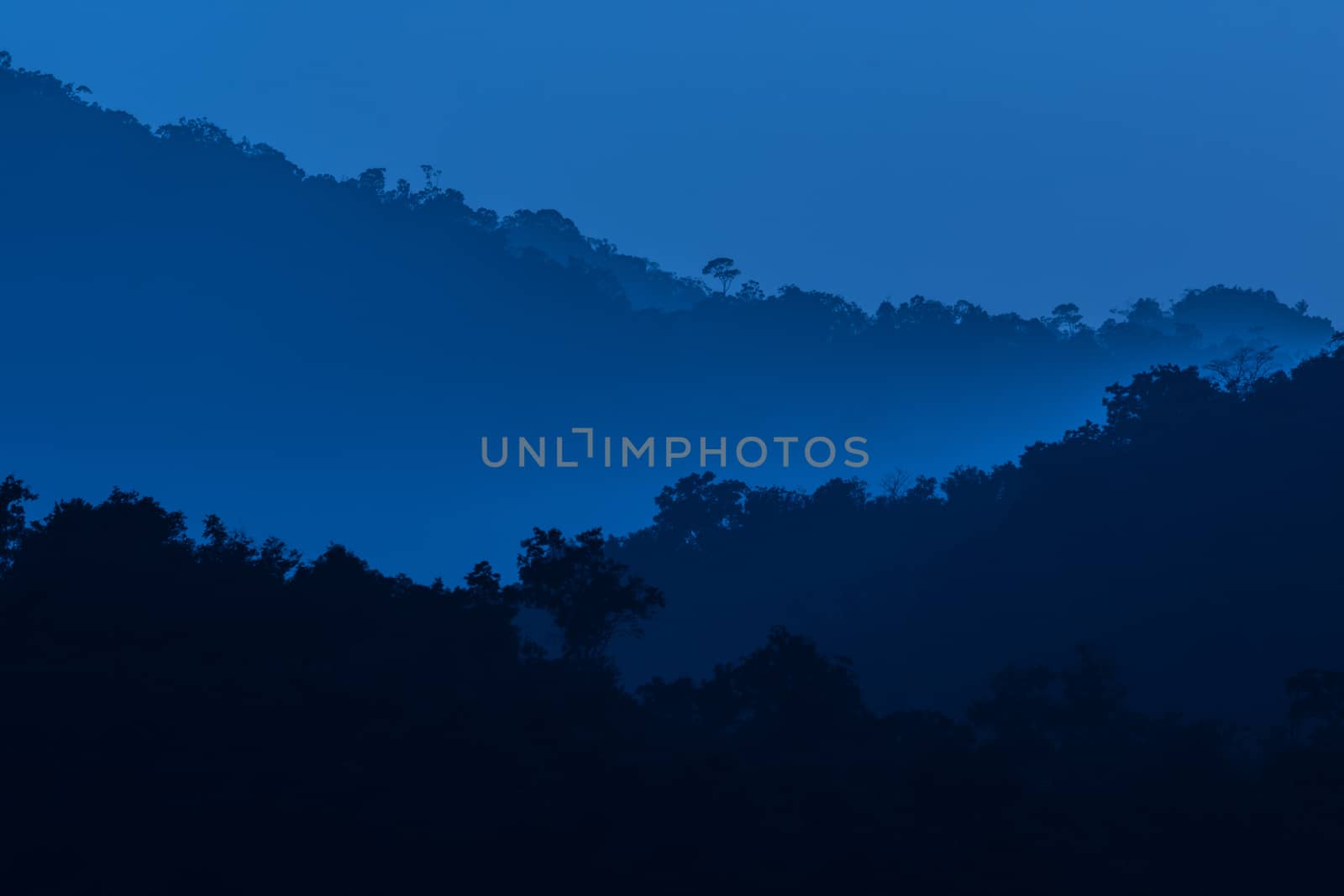 view of forest in thailand and  sky is many colour at sunset .
