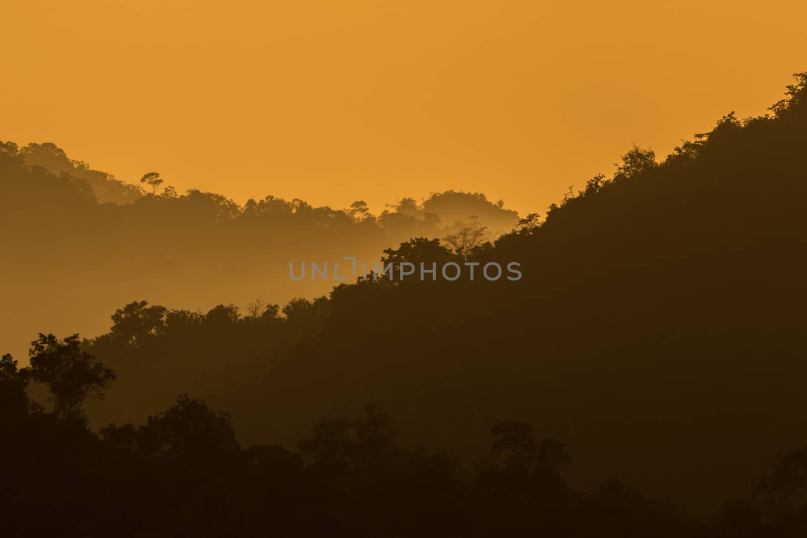 view of forest in thailand and  sky is many colour at sunset .