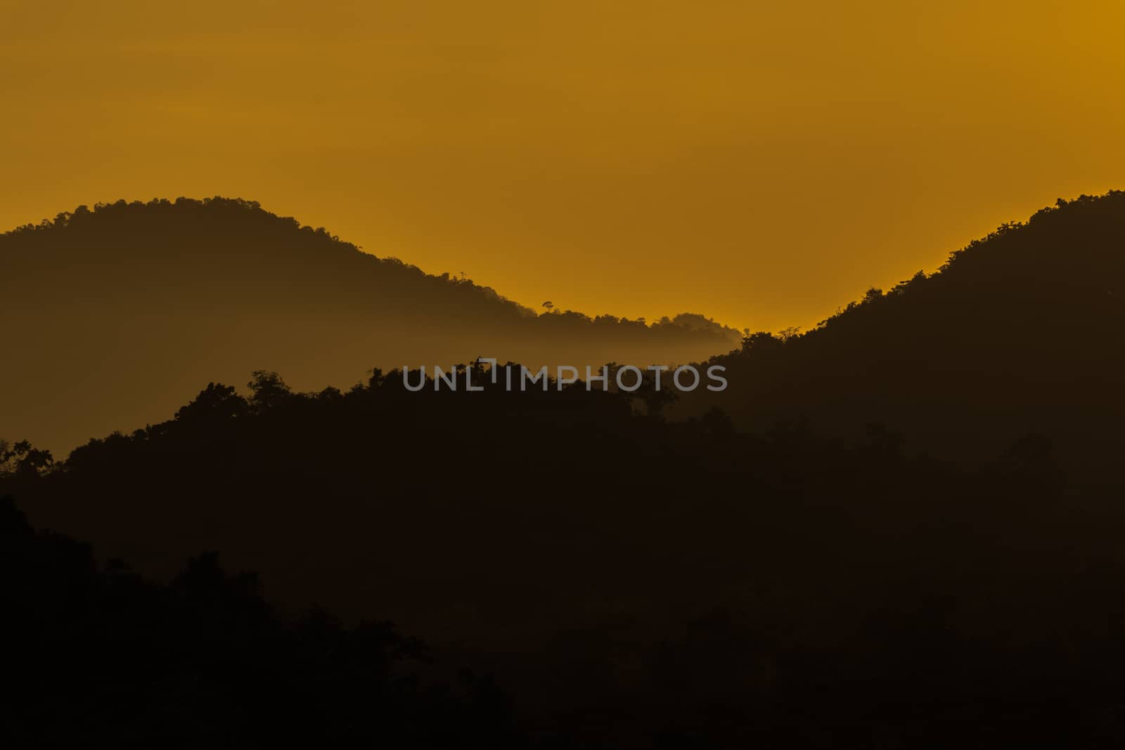 view of forest in thailand and  sky is many colour at sunset .