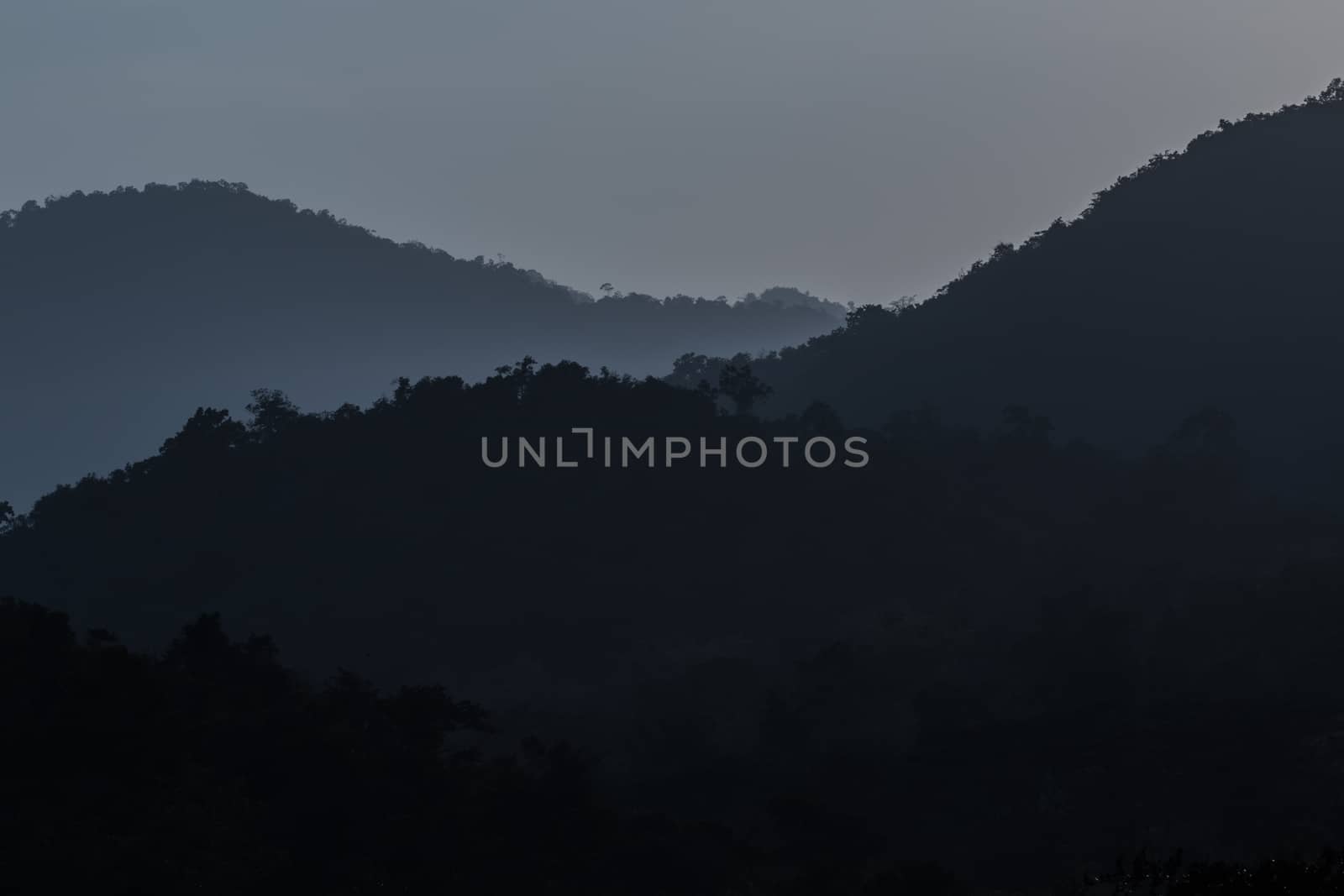 view of forest in thailand and  sky is many colour at sunset .