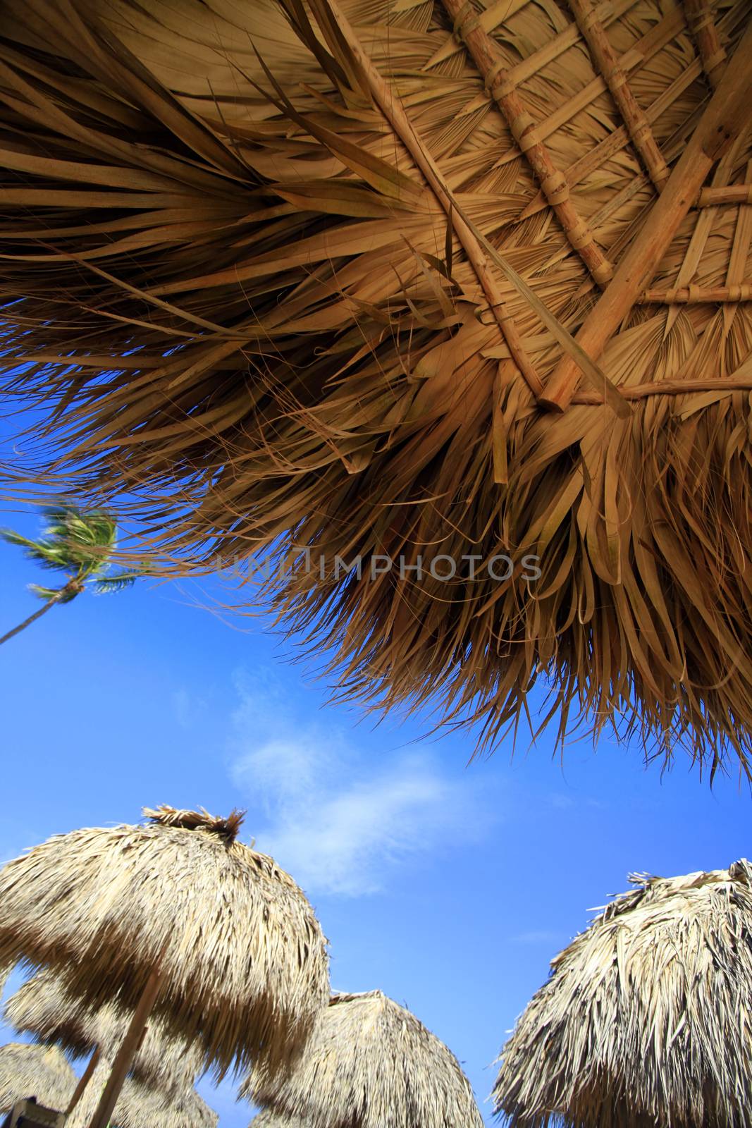 Straw umbrella on Bavaro Beach by friday