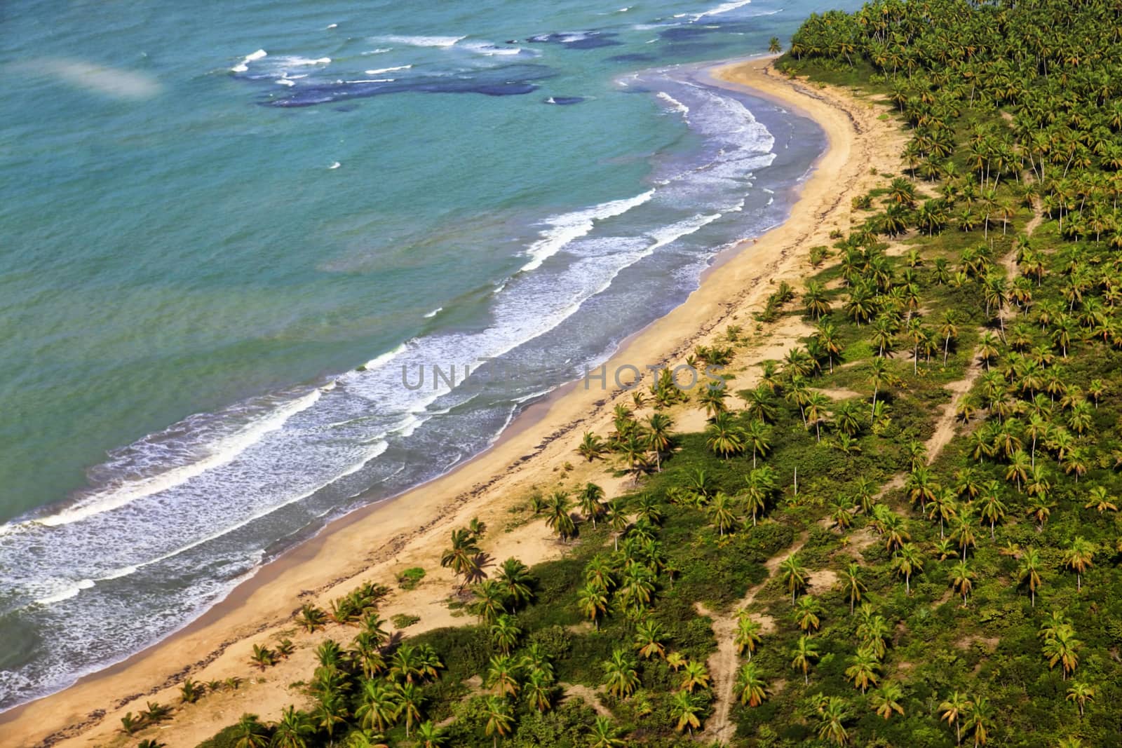 Aerial view of the coast in the Dominican Republic