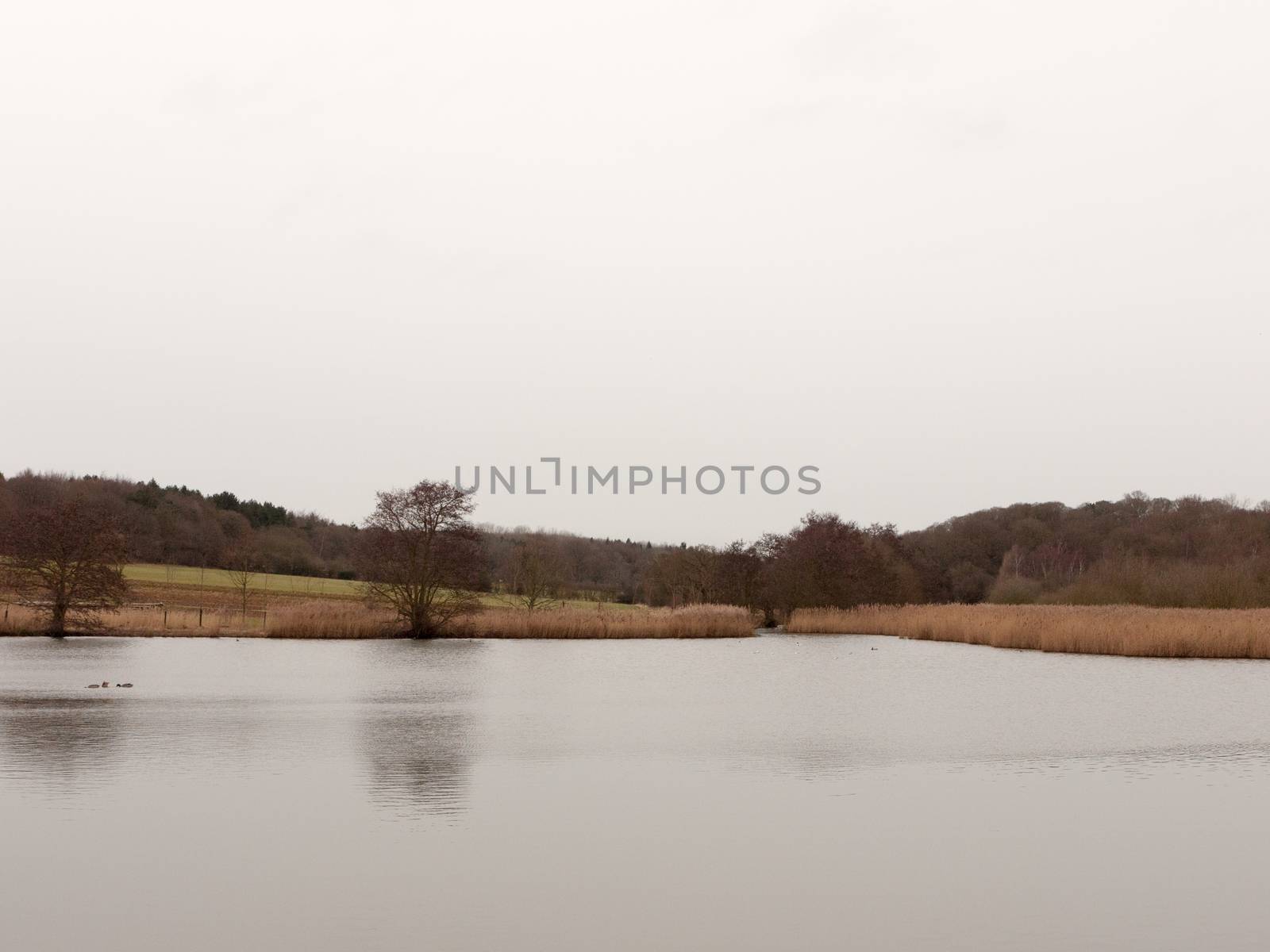 bleak cold white sky winter lake serene country landscape depressing; essex; england; uk