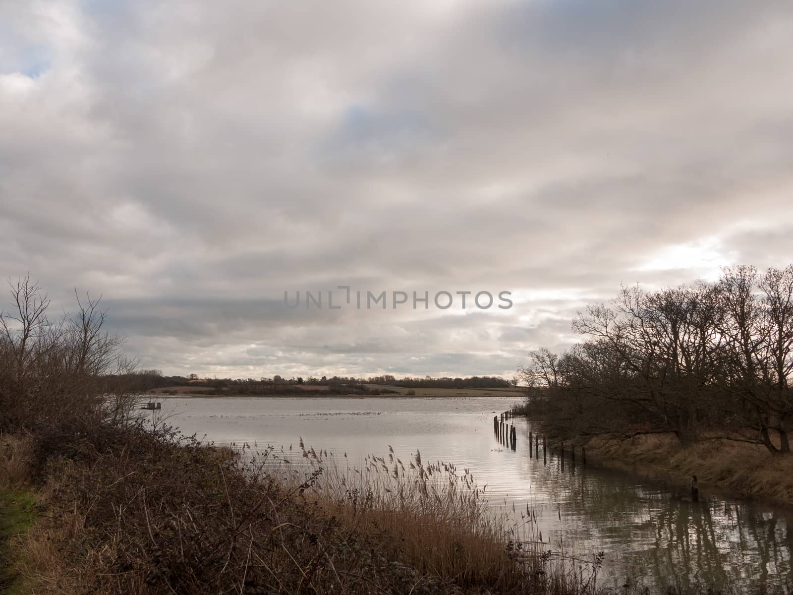 uk autumn winter grey cloudy bay scene outside river branches; essex; england; uk