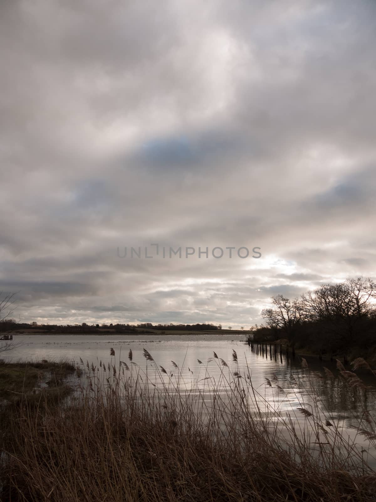 uk autumn winter grey cloudy bay scene outside river branches; essex; england; uk