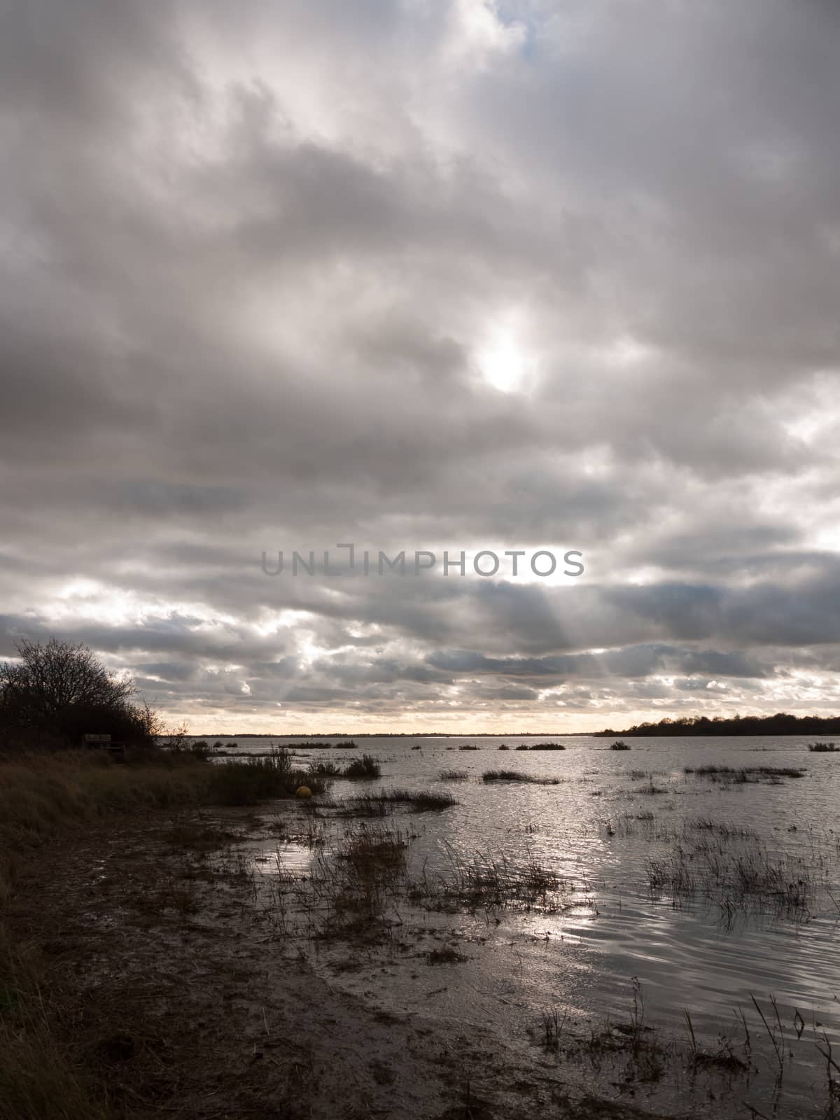 moody sky overcast autumn winter bay water ocean trees; essex; england; uk