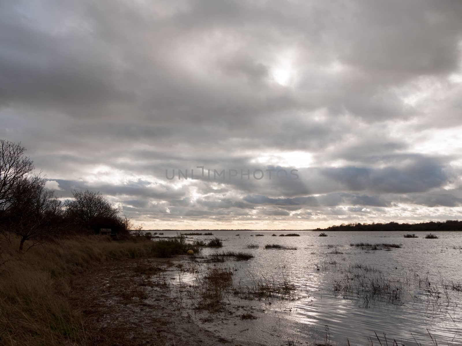 moody sky overcast autumn winter bay water ocean trees; essex; england; uk