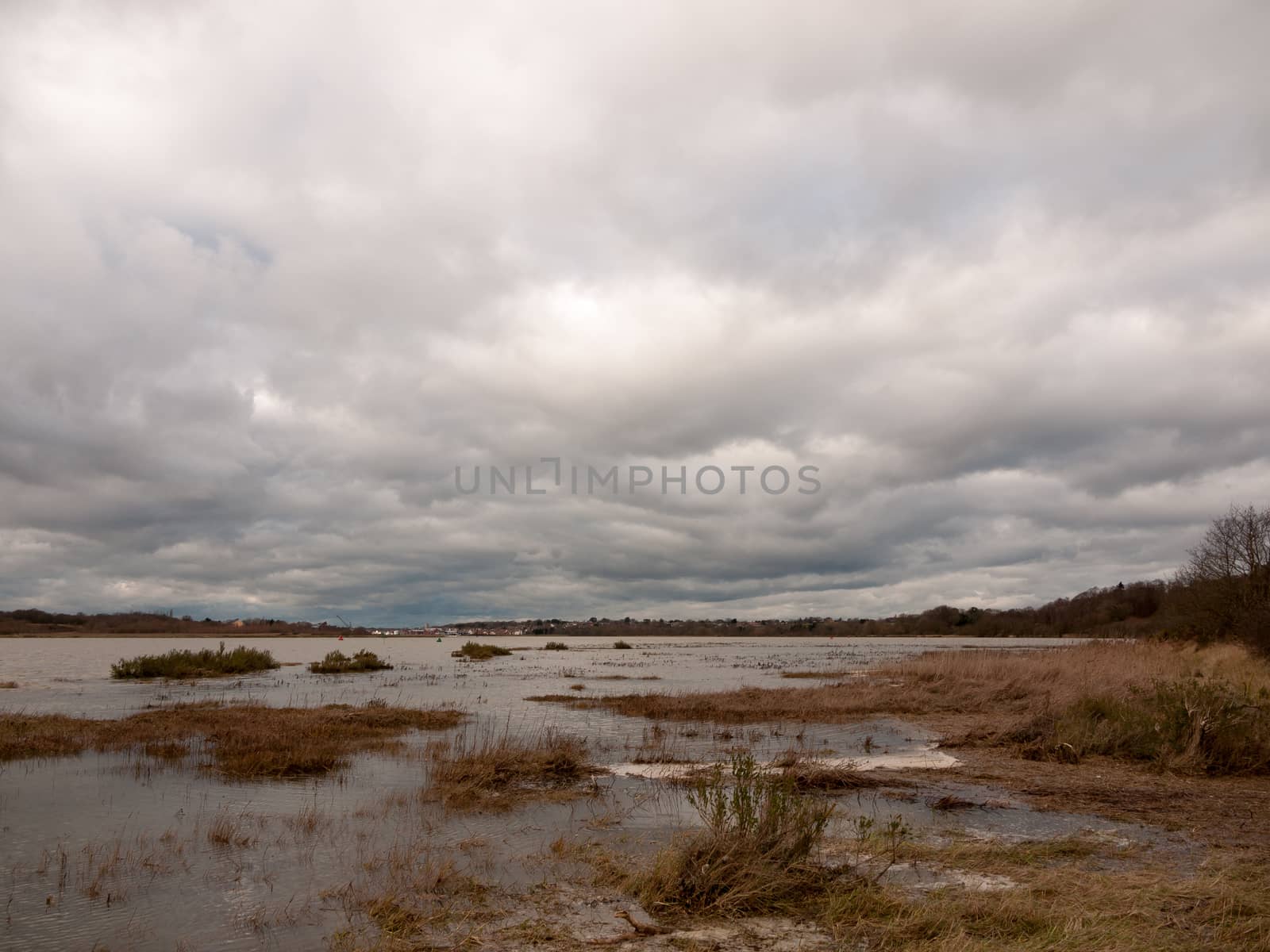 moody sky overcast autumn winter bay water ocean trees; essex; england; uk