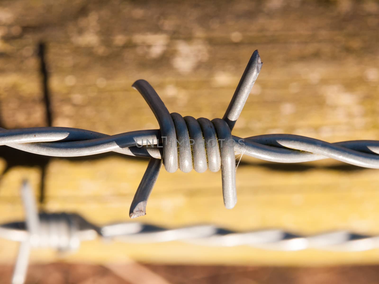 close up of of sharp barbed wire metal on wooden gate; essex; england; uk