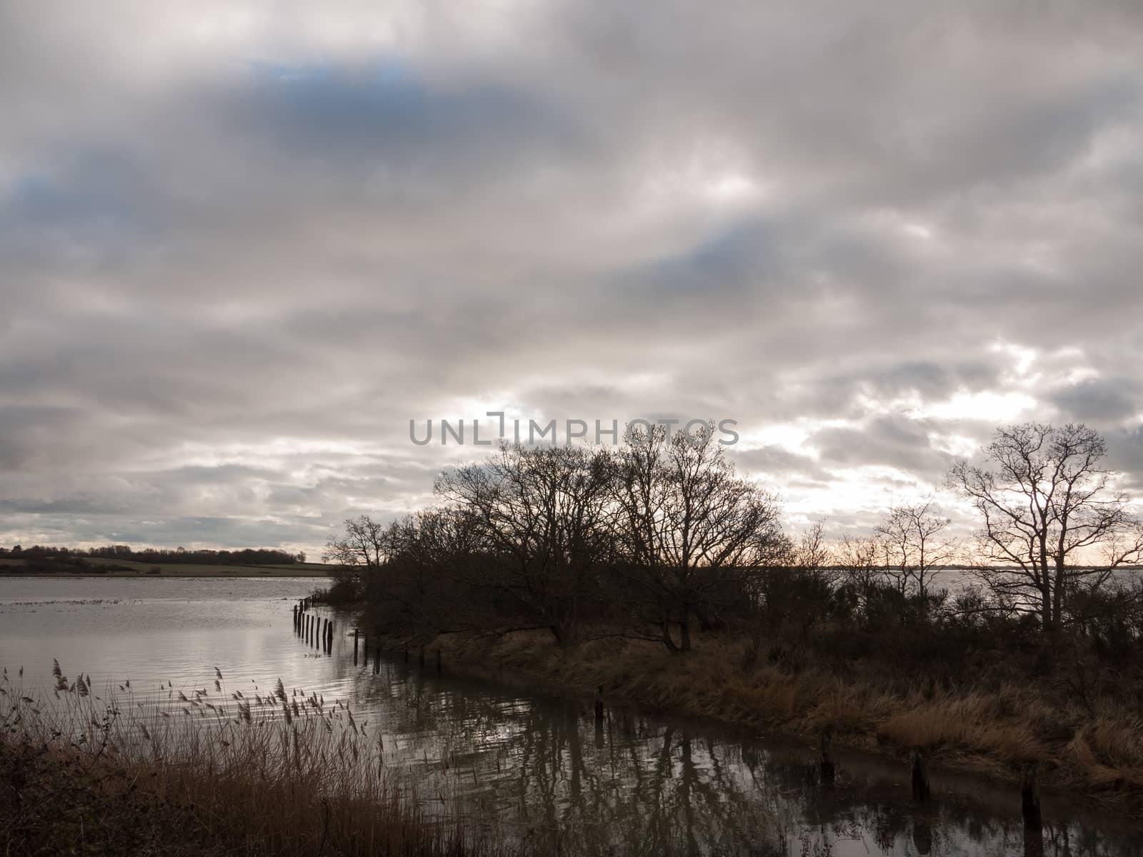 uk autumn winter grey cloudy bay scene outside river branches; essex; england; uk
