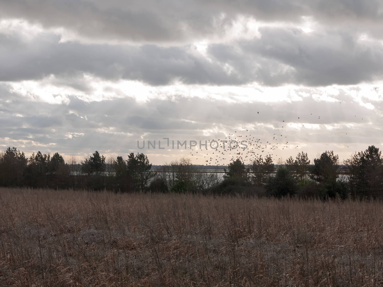 moody skyline clouds over autumn farm field ; essex; england; uk