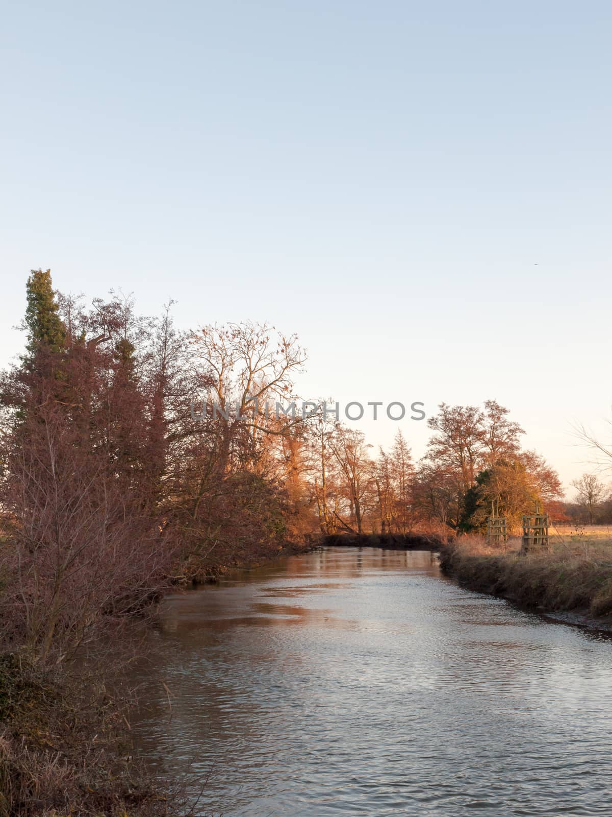 autumn bare branch trees lining river stream water nature landscape; essex; england; uk