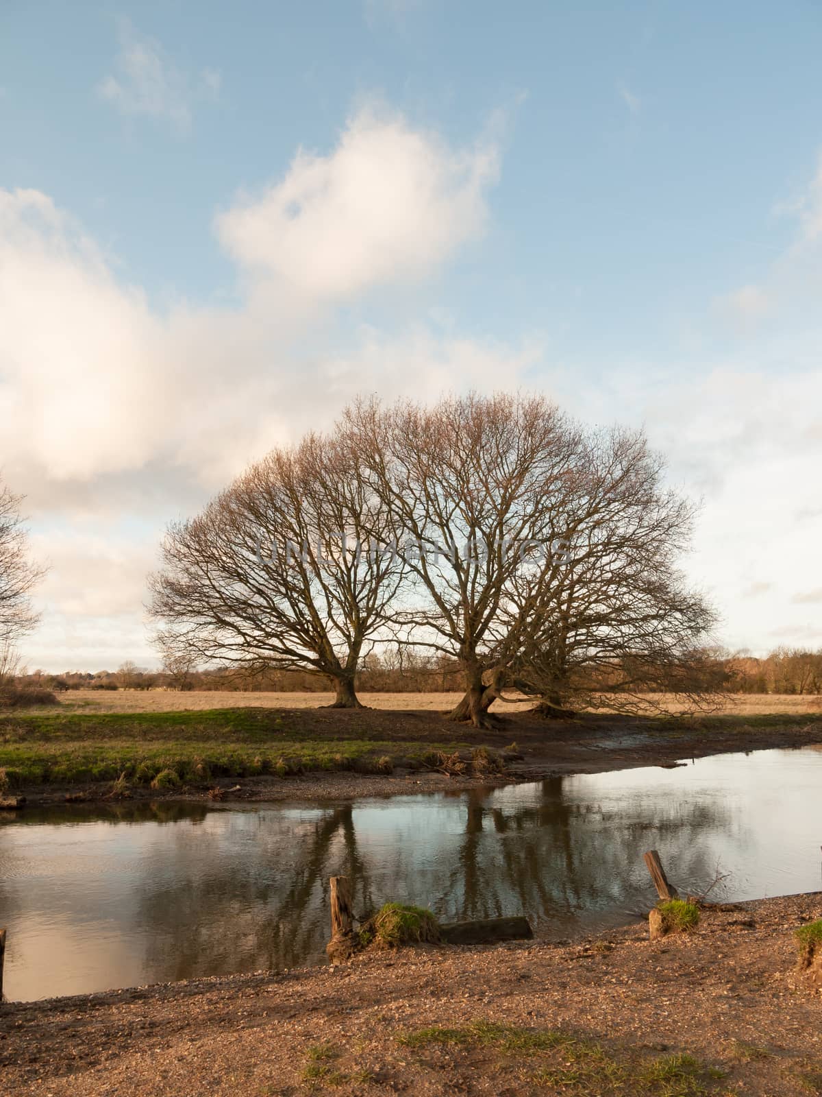 large bare tree branches over lake river country winter by callumrc