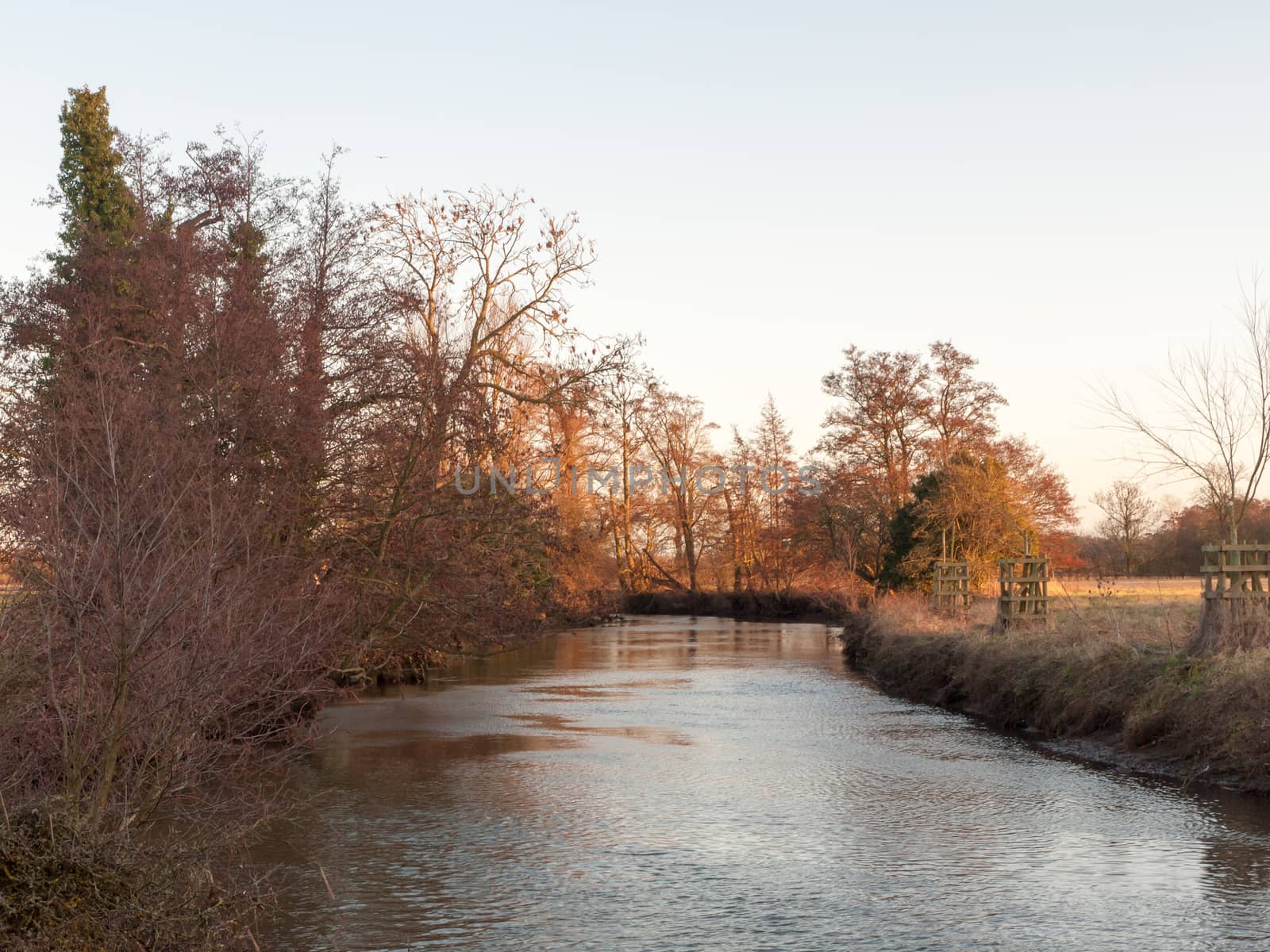 autumn bare branch trees lining river stream water nature landscape; essex; england; uk
