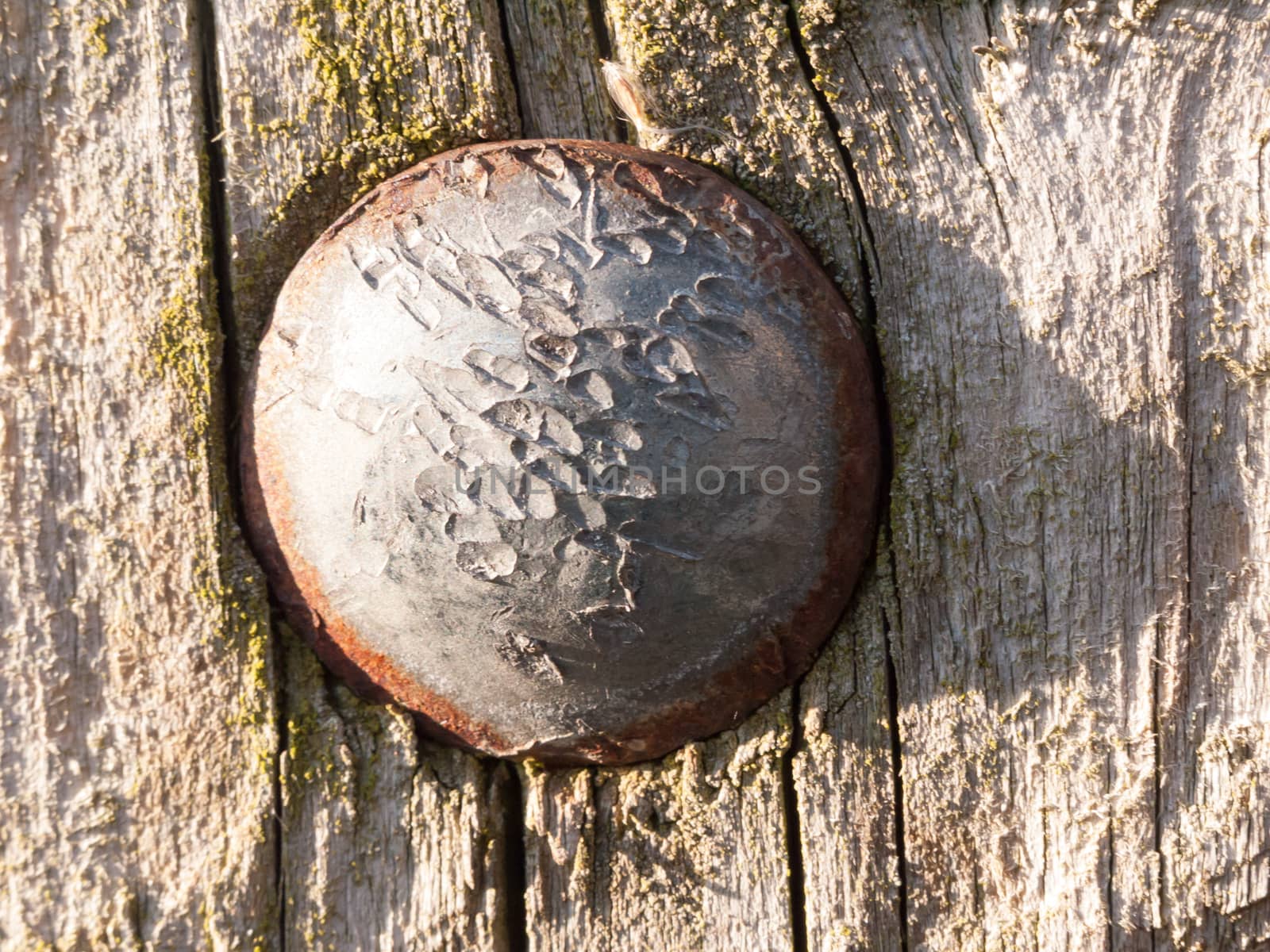 close up of old scratched rusty metal nail head smooth wooden surface; essex; england; uk