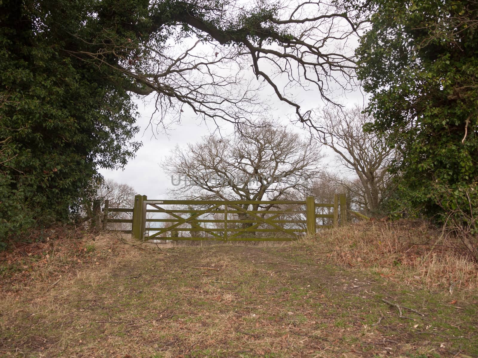 wooden gate fence tree country private field farm; essex; england; uk