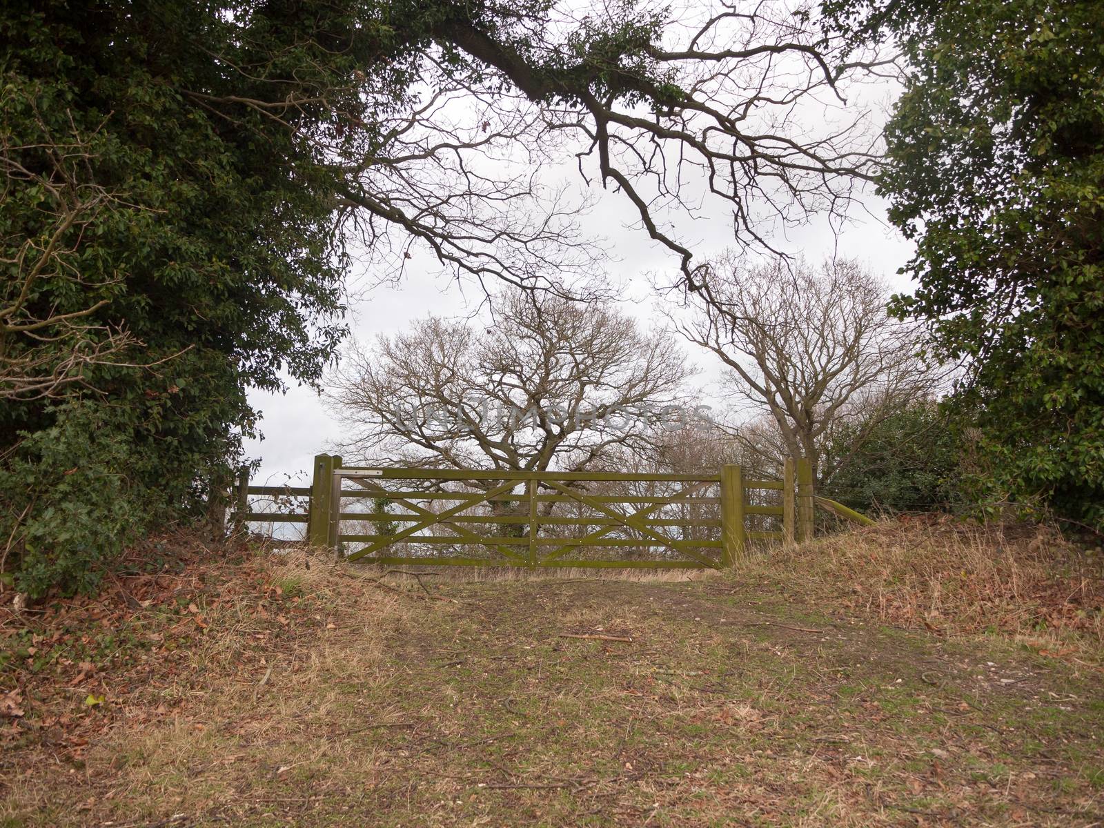wooden gate fence tree country private field farm; essex; england; uk