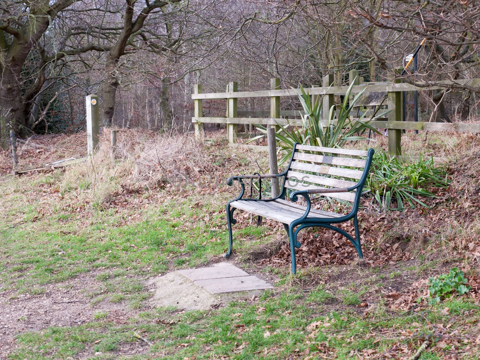 outside empty park bench autumn countryside lonely; essex; england; uk